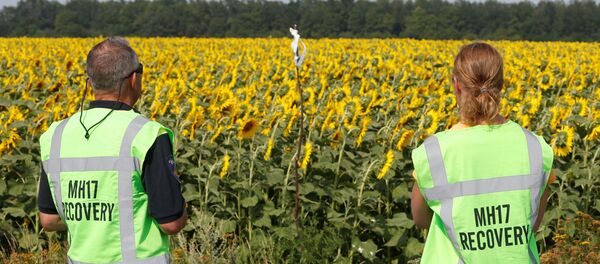 Форензичари на месту пада авиона на лету МХ17 - Sputnik Србија