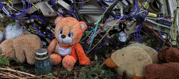 Олупина малезијског „боинга 777“ са лета МХ17 - Sputnik Србија