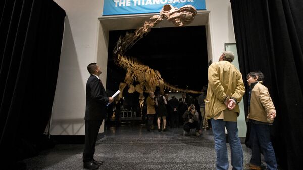 Replika 37-metara visokog titanosaurusa u američkom Prirodnjačkom muzeju u Njujorku - Sputnik Srbija