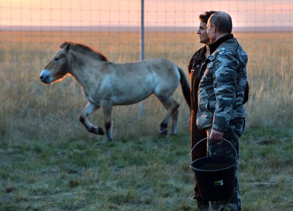 Vladimir Putin hrani nahranio konje Prževaljskog - Sputnik Srbija