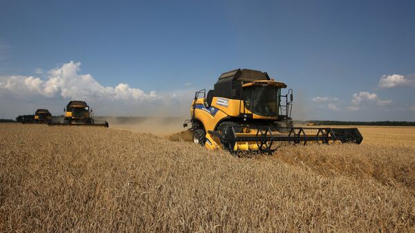 Žetva pšenice na njivi u Krasnodarskom kraju - Sputnik Srbija