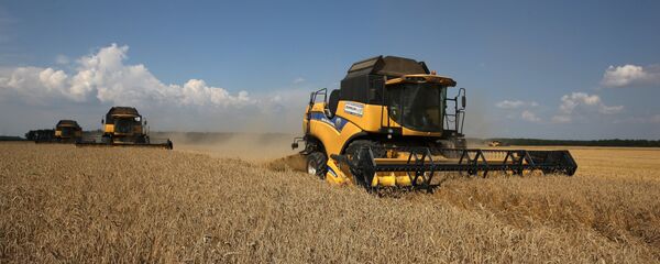 Жетва пшенице на њиви у Краснодарском крају - Sputnik Србија