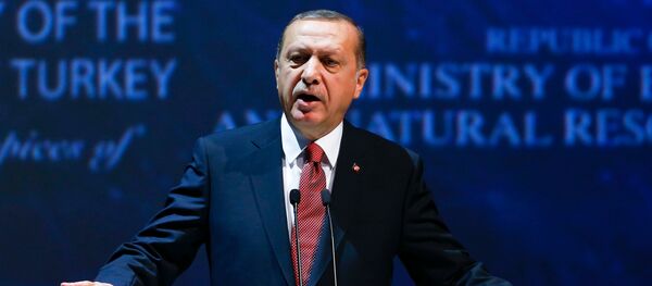 Predsednik Turske Redžep Tajip Erdogan u Turskoj, 10.10.2016. - Sputnik Srbija