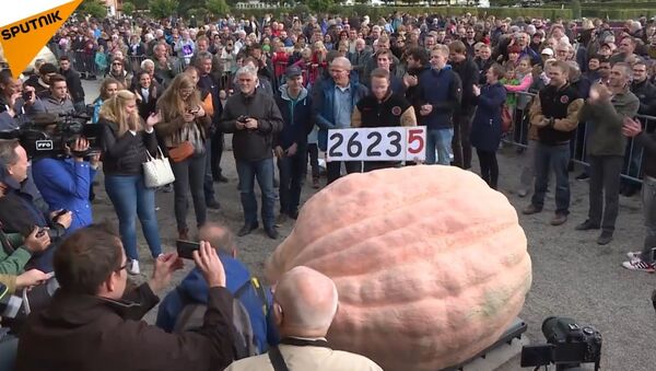 Belgian Gardener Sets New Guinness World Record by Growing the Biggest Pumpkin Ever - Sputnik Србија