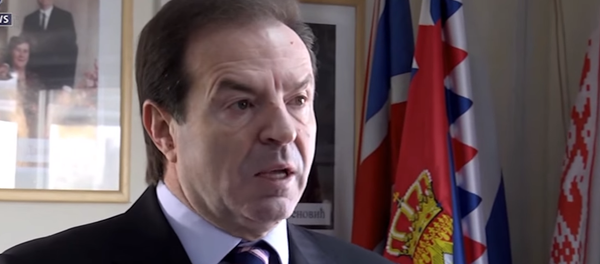 Bogoljub Karić - Sputnik Srbija