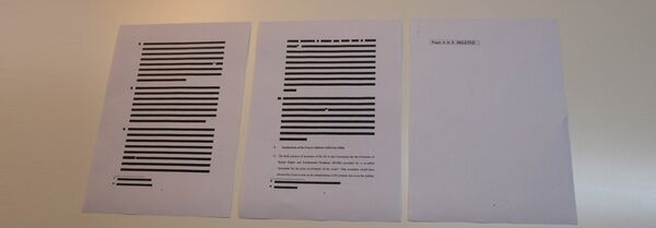 Primerak stranice analize koju je Komisija poslala ClientEarth-u - Sputnik Srbija