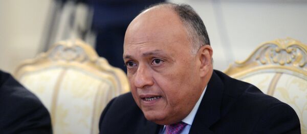 Ministar spoljnih poslova Egipta Sameh Šukri tokom sastanka sa ruskim kolegom Sergejem Lavrovim - Sputnik Srbija