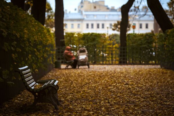 Златна јесен у летњој башти у Санкт Петербургу - Sputnik Србија