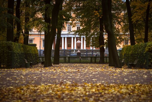 Zlatna jesen u letnjoj bašti u Sankt Peterburgu - Sputnik Srbija