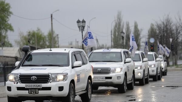 ЕУ и ОЕБС немају права да учествују у решавању украјинског сукоба