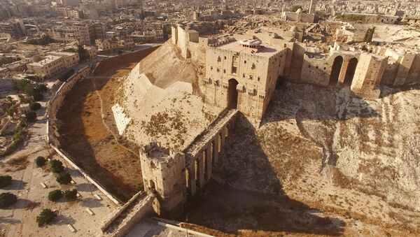 Pogled na Citadelu u Alepu, koju su okupirali teroristi. - Sputnik Srbija