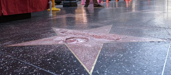 Uništena zvezda Donalda Trampa u Holivudu Uništena zvezda Donalda Trampa u Holivudu - Sputnik Srbija