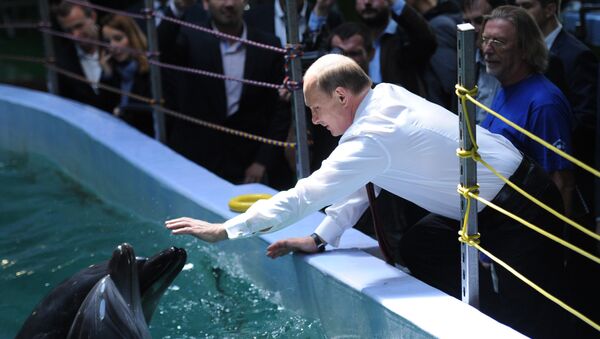 Владимир Путин и делфини - Sputnik Србија