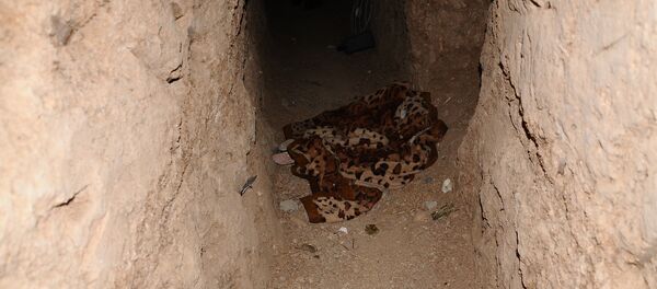 Тунели које копају припадници ДАЕШ-а бежећи од ирачких војних снага у Мосулу. - Sputnik Србија