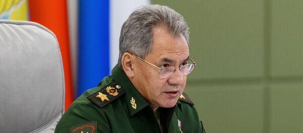 Ministar odbrane Ruske Federacije Sergej Šojgu - Sputnik Srbija