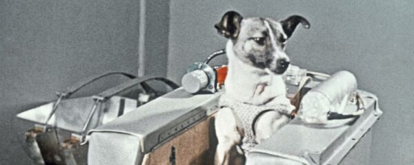 Пас Лајка - Sputnik Србија