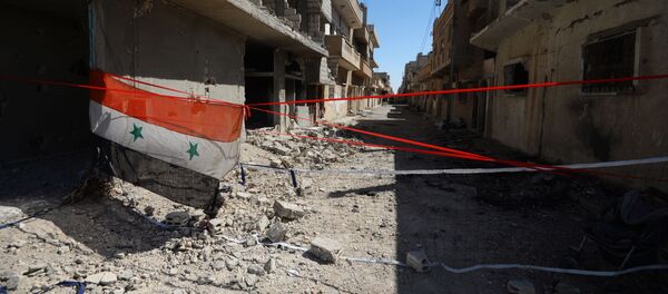 Застава Сирије у Палмири - Sputnik Србија