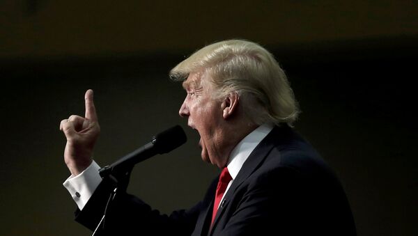 Republikanski predsednički kandidat Donald Tramp govori na mitingu u Ešvilu u Severnoj Karolini - Sputnik Srbija