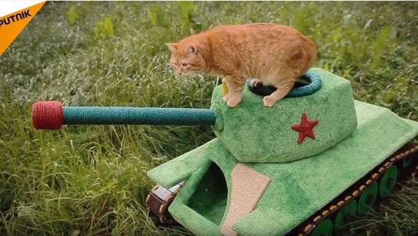 Mačka u tenku - Sputnik Srbija