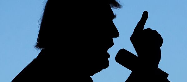 Доналд Трамп током кампање Доналд Трамп током кампање - Sputnik Србија