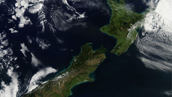 Нови Зеланд, земљотрес - Sputnik Србија