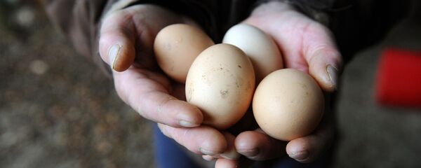 Jaja - Sputnik Srbija