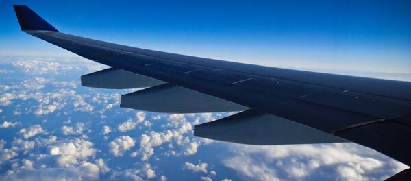 Крыло самолета - Sputnik Србија