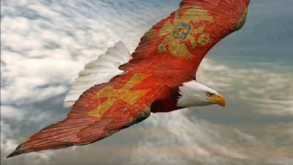 Орао са црногорском заставом - Sputnik Србија