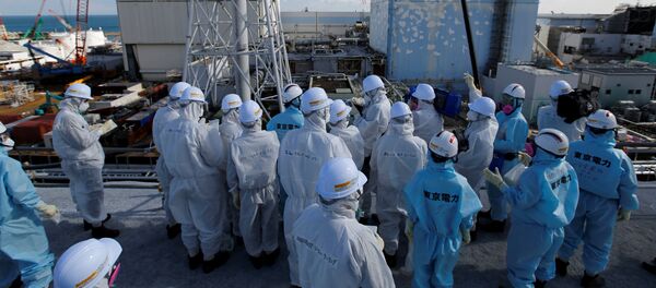 Фукушима Фукушима - Sputnik Србија