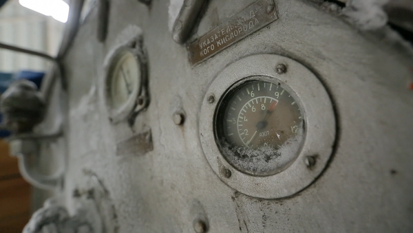 Zamrznuti do daljeg: ekskurzija po krioskladištu u Sergejevom posadu - Sputnik Srbija