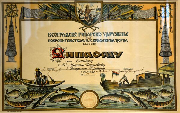 Diploma Mihaila Petrovića Alasa - Sputnik Srbija