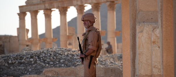 Палмира Палмира - Sputnik Србија