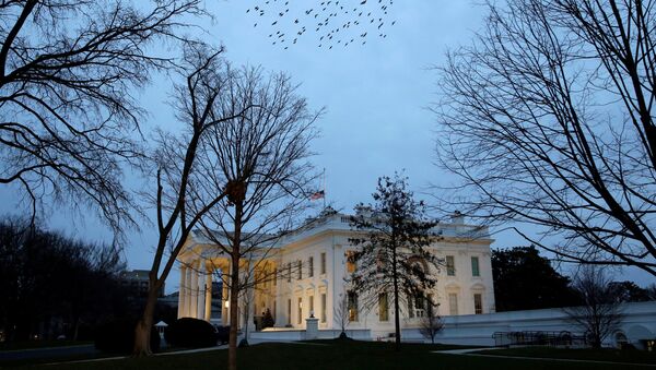 Јато птица лети изнад Беле куће у Вашингтону - Sputnik Србија