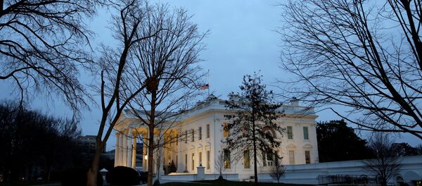 Јато птица лети изнад Беле куће у Вашингтону - Sputnik Србија