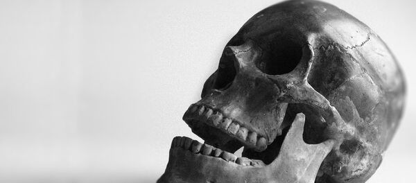 Lobanja Lobanja - Sputnik Srbija