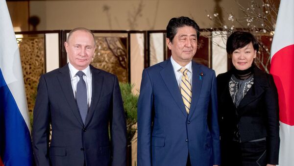 Председник Русије Владимир Путин у разговору са јапанским премијером Шинзом Абе у Јапану - Sputnik Србија