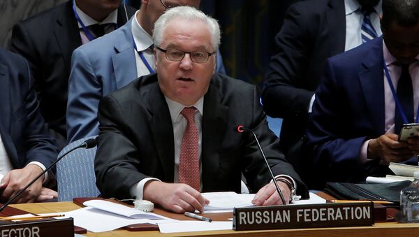 Stalni predstavnik Rusije u Ujedinjenim nacijama Vitalij Čurkin obraća se Savetu bezbednosti na sednici UN u Njujorku - Sputnik Srbija