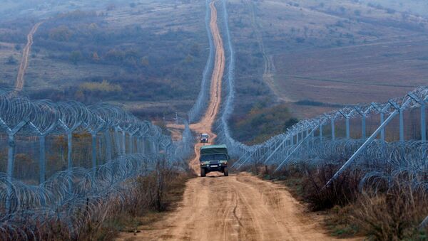 Државна граница ограђена жицом - Sputnik Србија