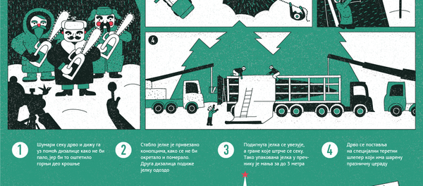 Кремаљска јелка - Sputnik Србија
