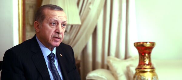 Predsednik Turske Redžep Tajip Erdogan Predsednik Turske Redžep Tajip Erdogan - Sputnik Srbija