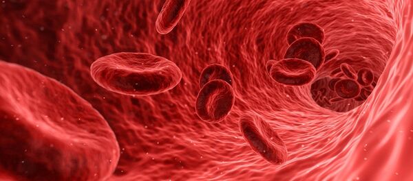 Фобија од крви крије скривени рефлекс закопан у нашем мозгу... Фобија од крви крије скривени рефлекс закопан у нашем мозгу... - Sputnik Србија