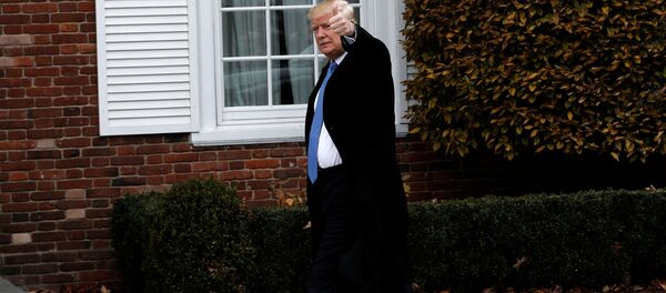 Donald Tramp - Sputnik Srbija