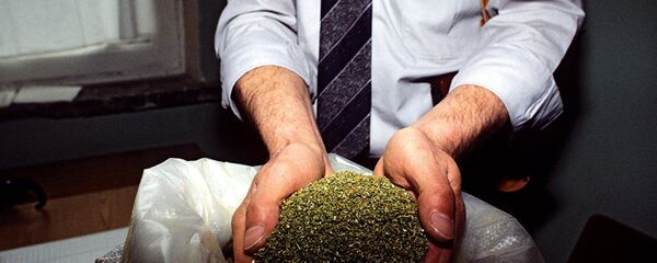 Марихуана - Sputnik Србија