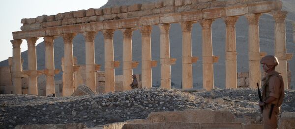 Palmira Palmira - Sputnik Srbija