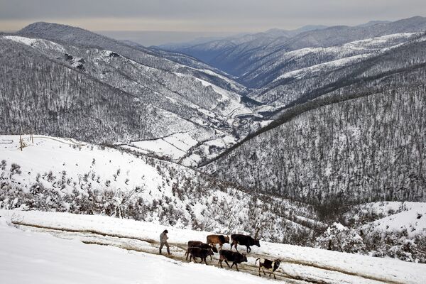 Zavejana sela u iranskim Tališkim planinama - Sputnik Srbija