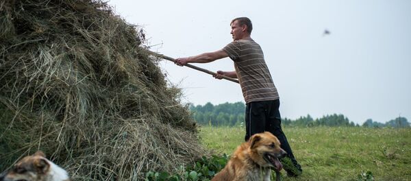 Косидба - Sputnik Србија