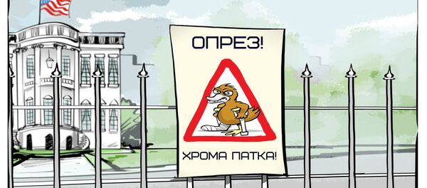 Hroma patka - Sputnik Srbija