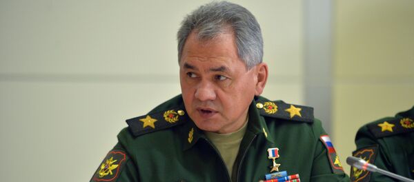 Министар одбране Русије Сергеј Шојгу - Sputnik Србија