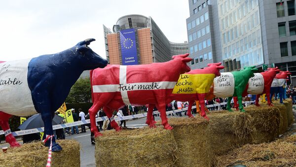 Краве  у бојама застава земаља ЕУ испред зграде  Европске Комисије - Sputnik Србија