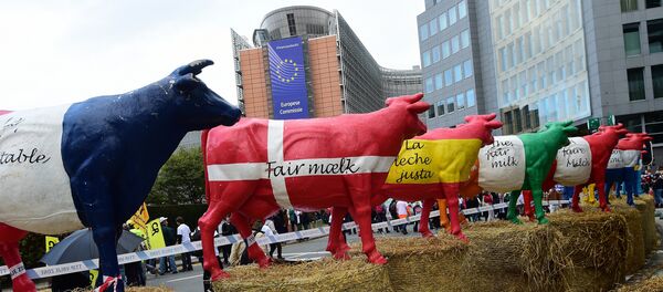 Krave  u bojama zastava zemalja EU ispred zgrade  Evropske Komisije - Sputnik Srbija